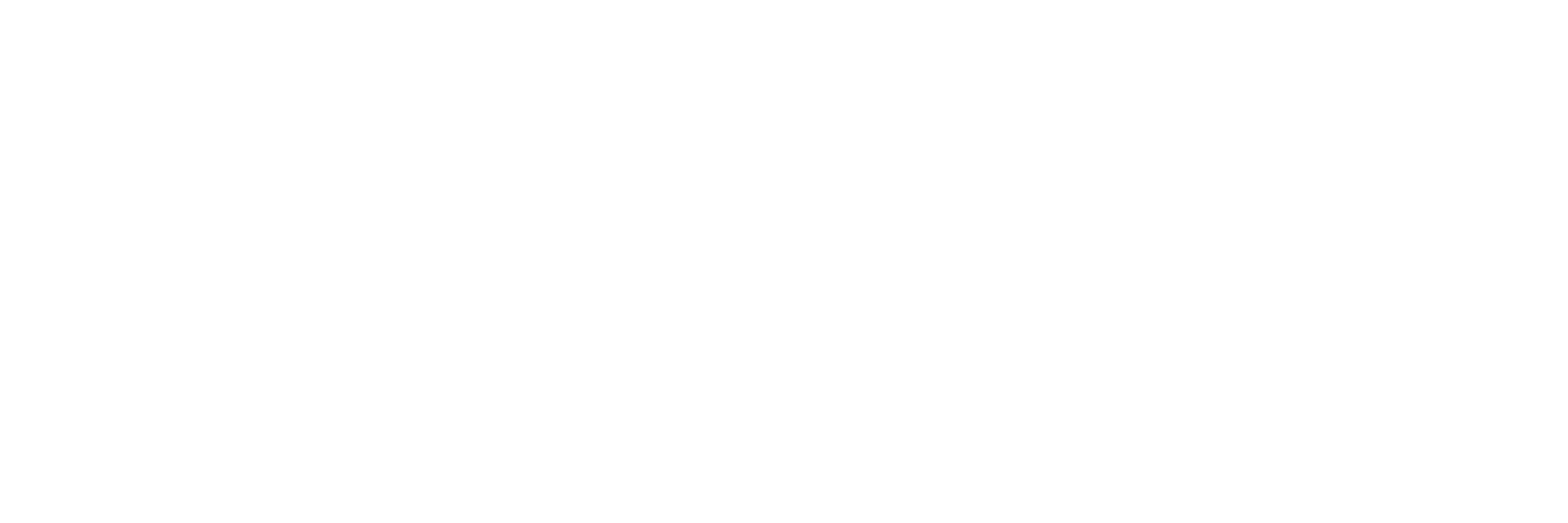 New York City Emergency Management